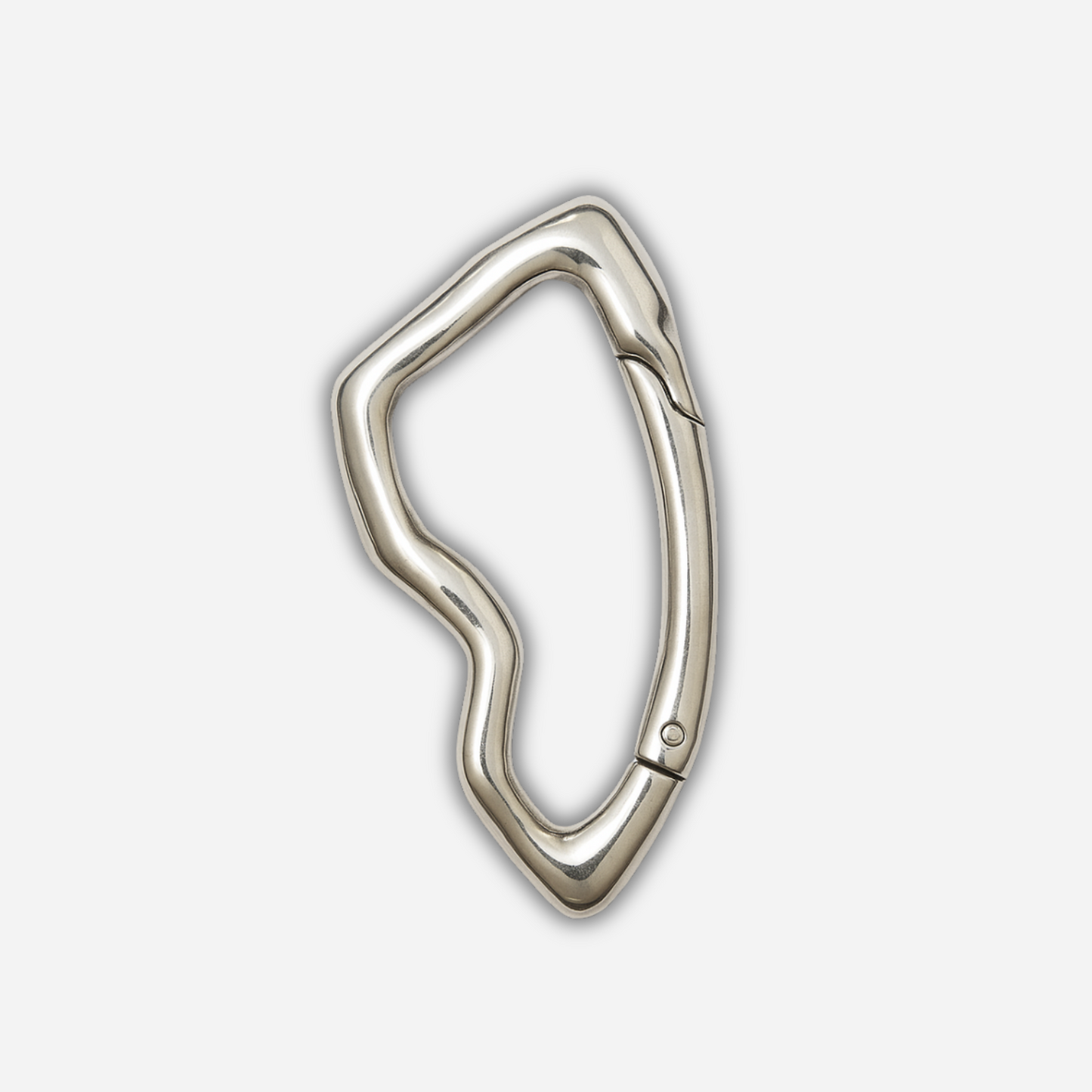 Carabiner Keychain Silver